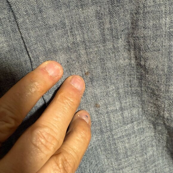 Anthropologie Fei Chambray Ruffle Belted Mini Dress Womens Size XL Modern - Picture 7 of 9